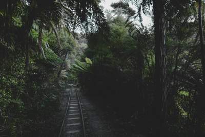 railway tracks winding through a rainforest